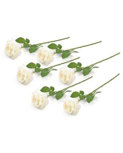FLOWER OPEN ROSE CREAM S/6